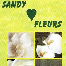 Sandy Fleurs